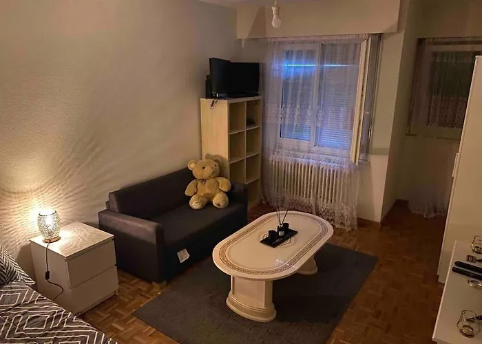 Appartement Centre A Lausanne